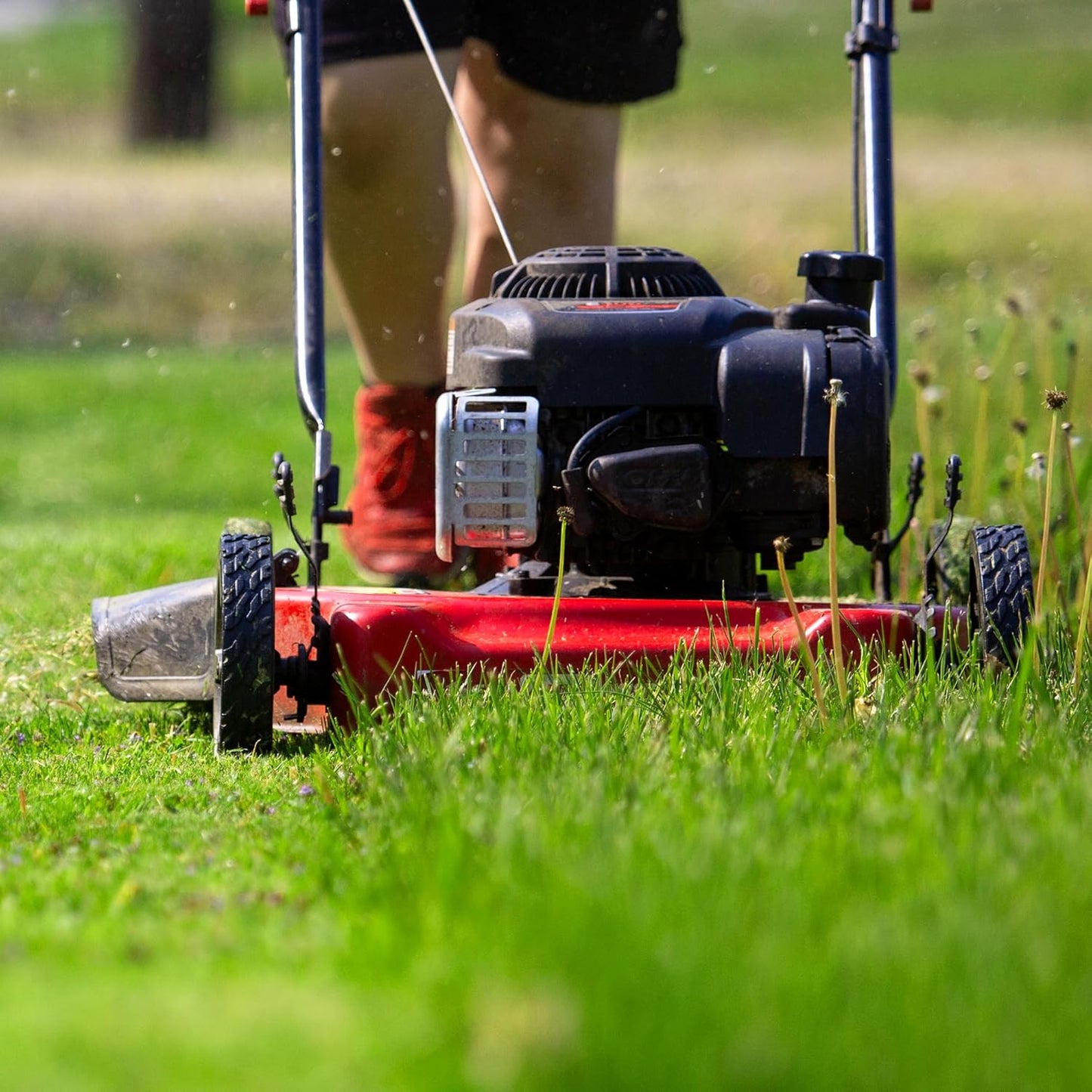 20-inch steel cutting deck, side-discharge gasoline-powered push lawn mower, with engine oil, available in red and black, suitable for outdoor yards.