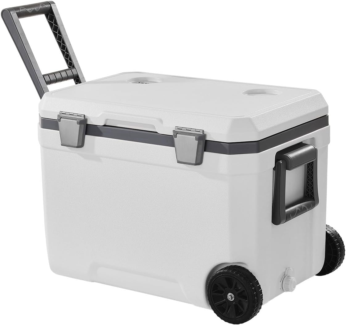 immersion cooler