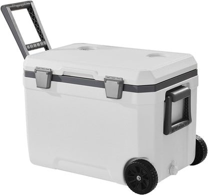 immersion cooler